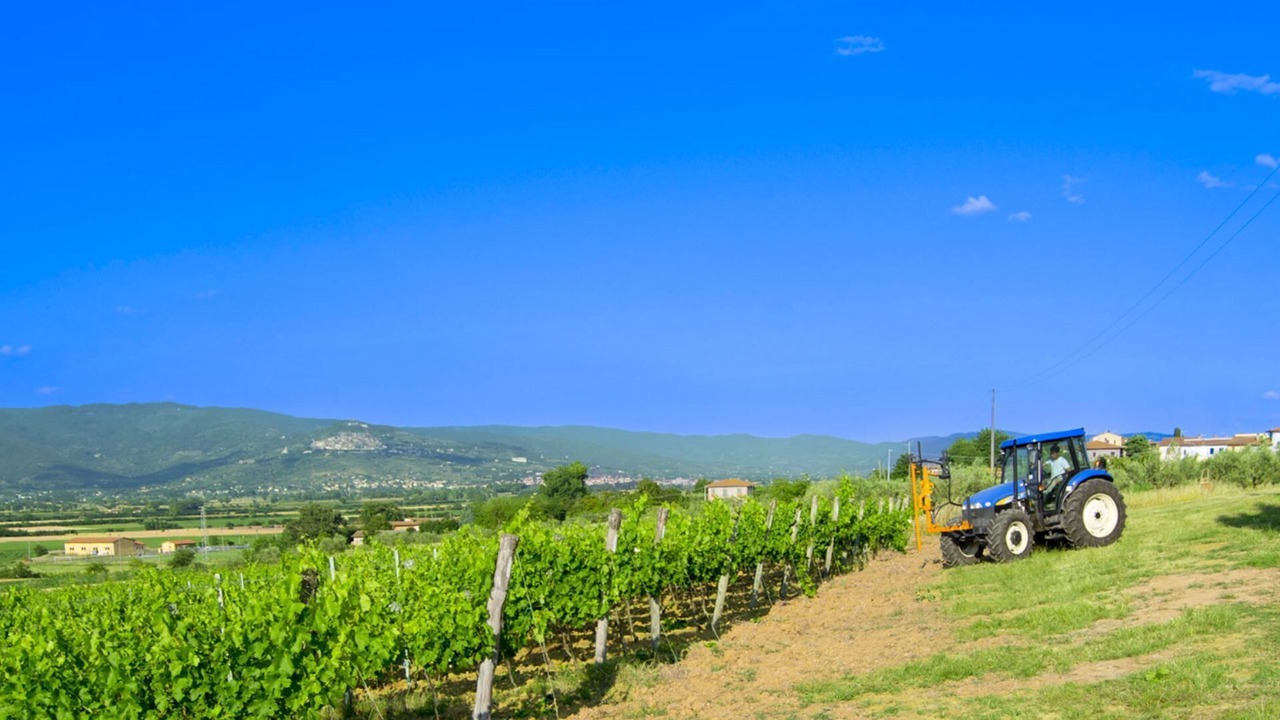 Photo of Outdoor in Cortona