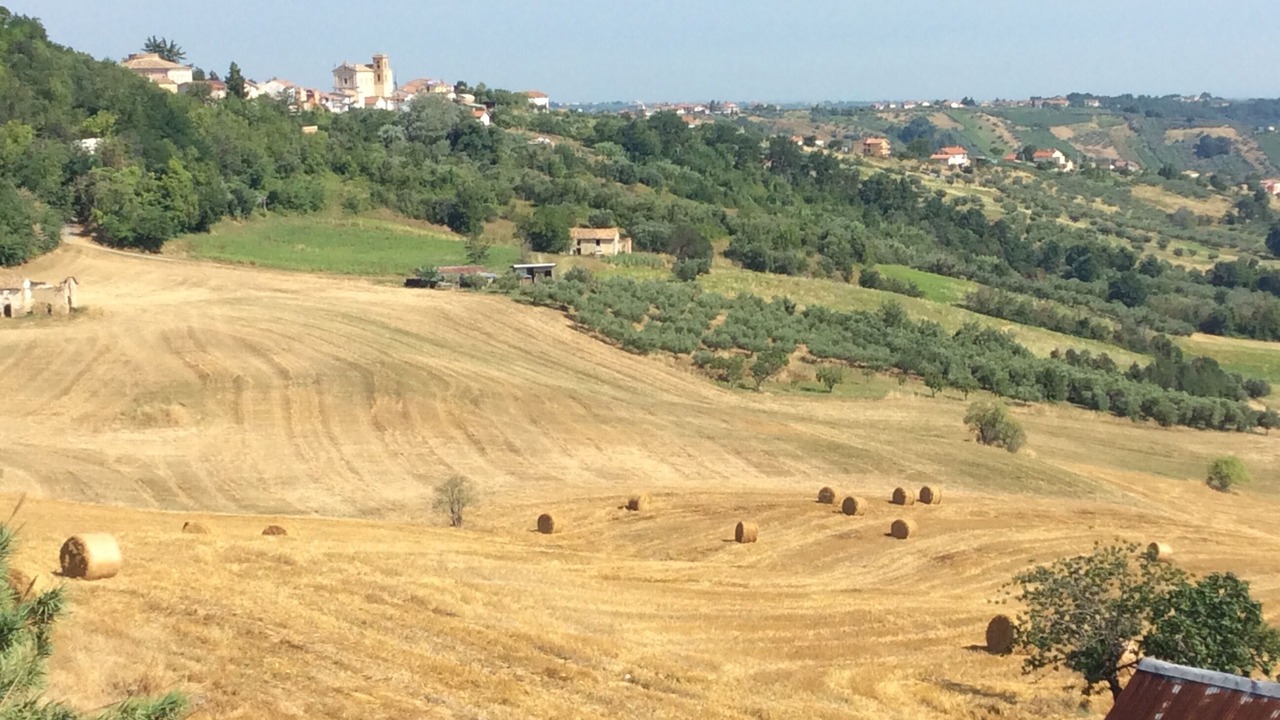 Photo of Others in Castel Frentano