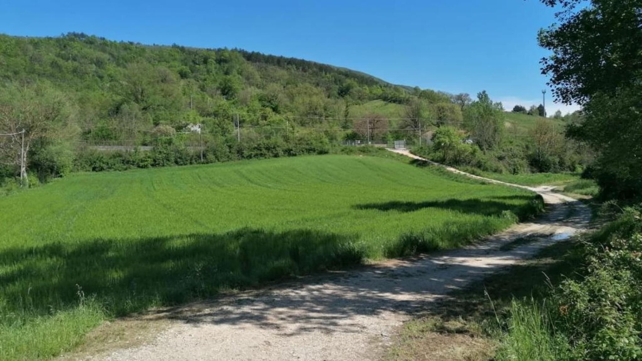 Photo of Others in Valtopina