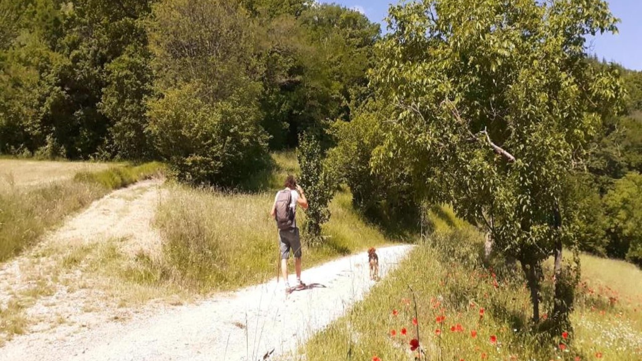 Photo of Others in Valtopina