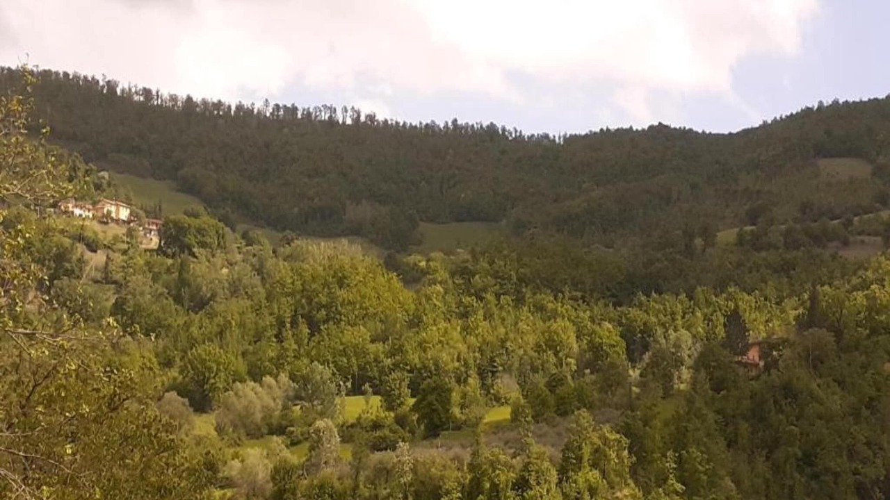 Photo of Others in Valtopina