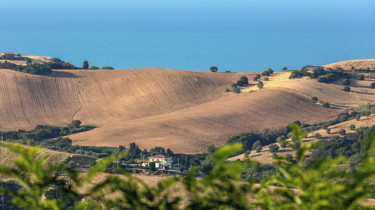 Photo of Others in Roseto degli Abruzzi
