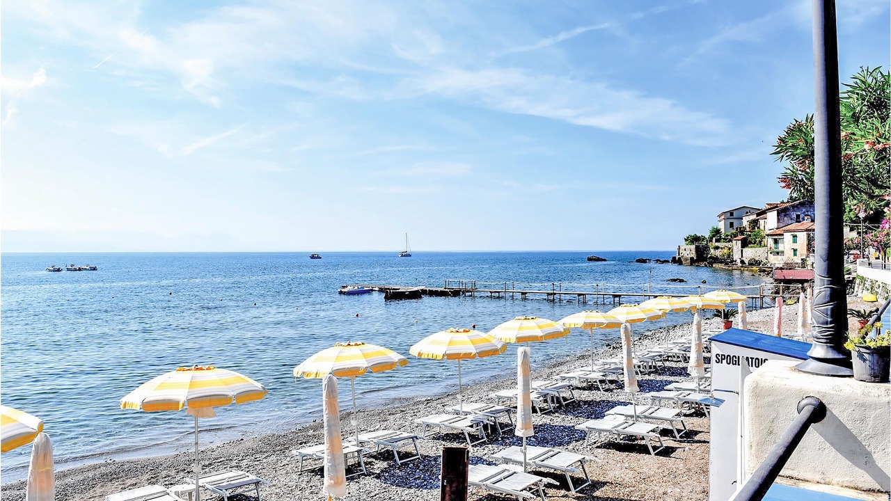 Photo of Others in Scario