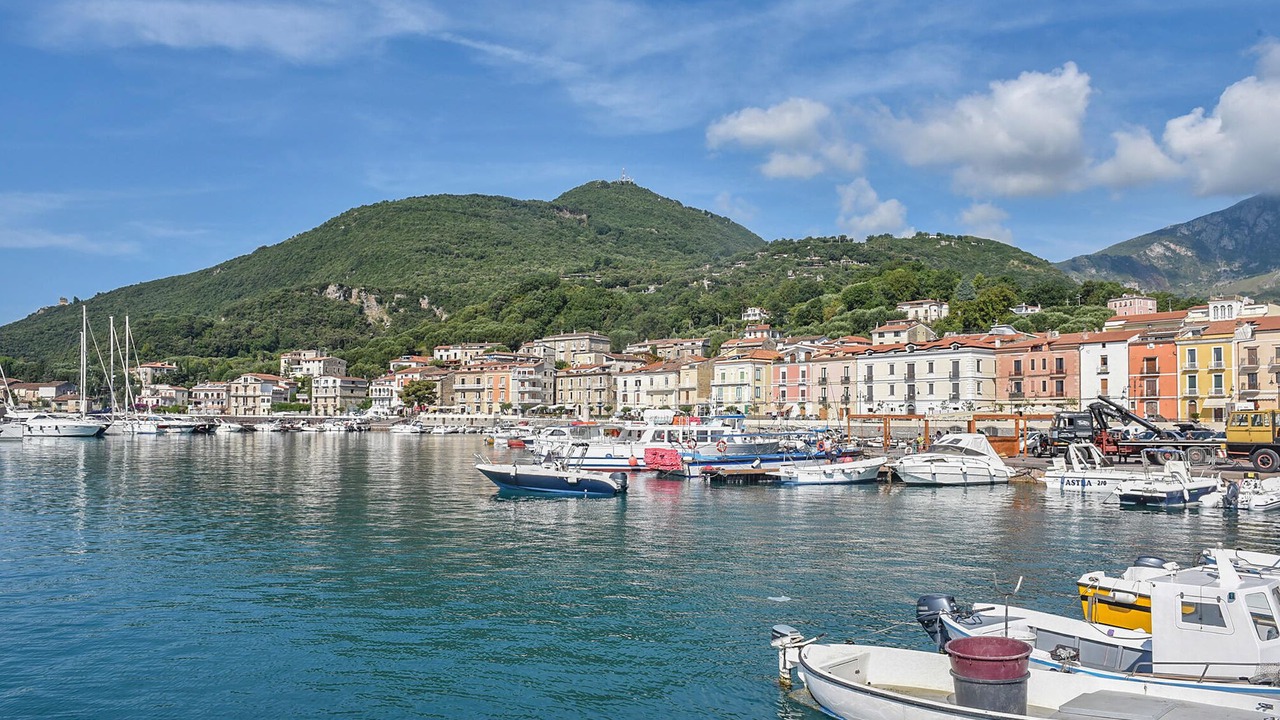 Photo of Others in Scario