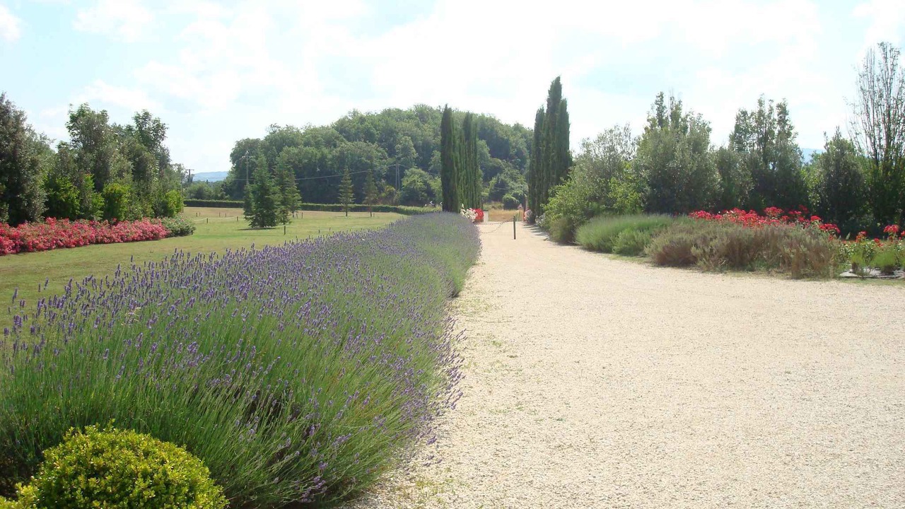 Photo of Outdoor in Cincelli