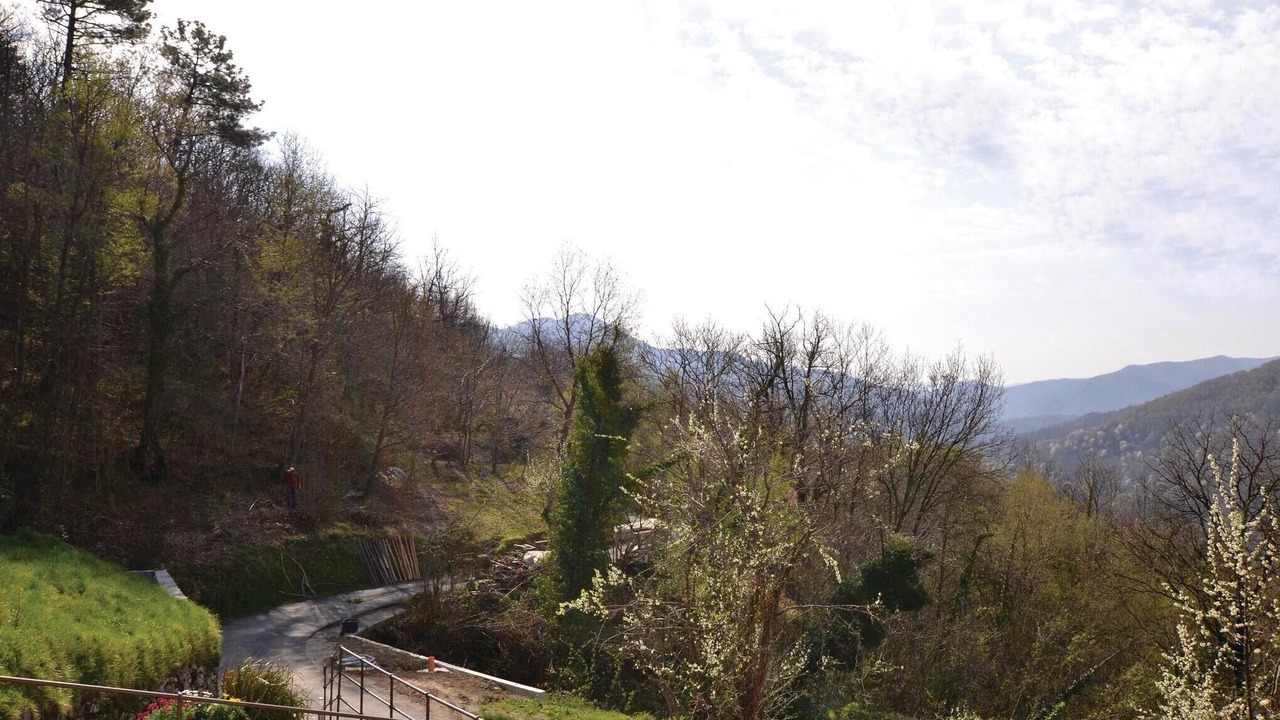 Photo of Others in Varese Ligure