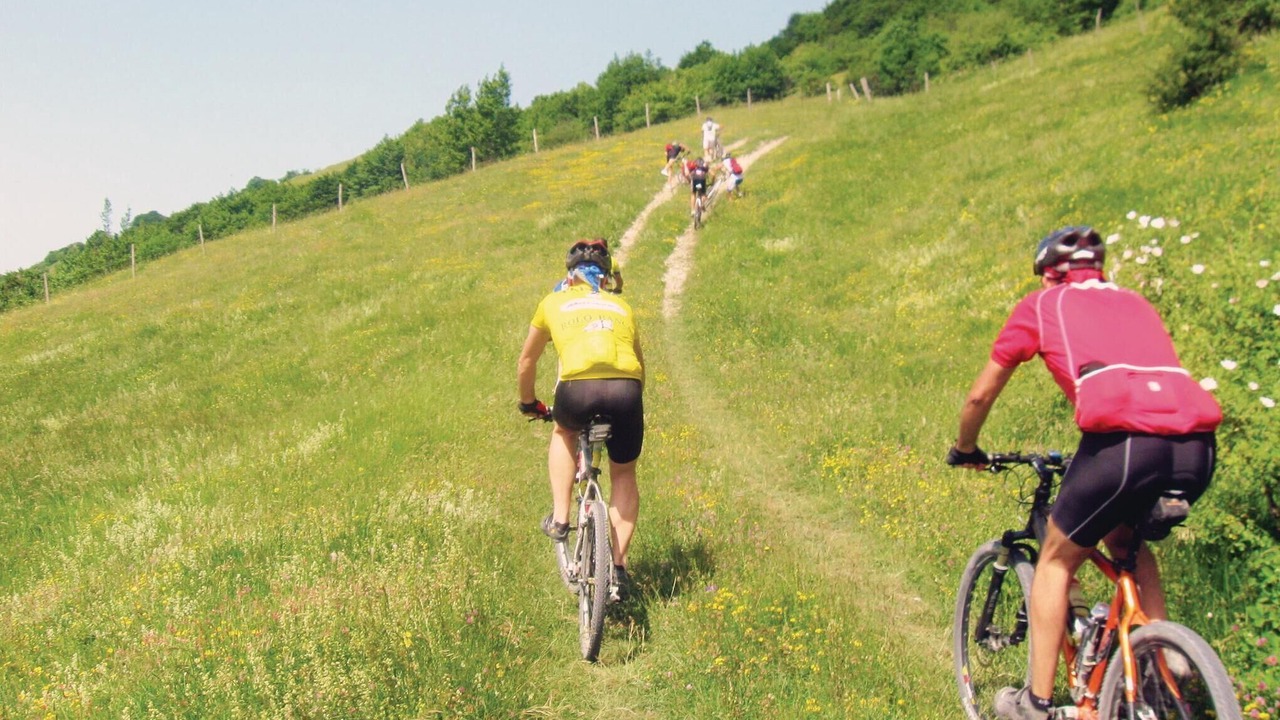 Photo of Others in Apecchio