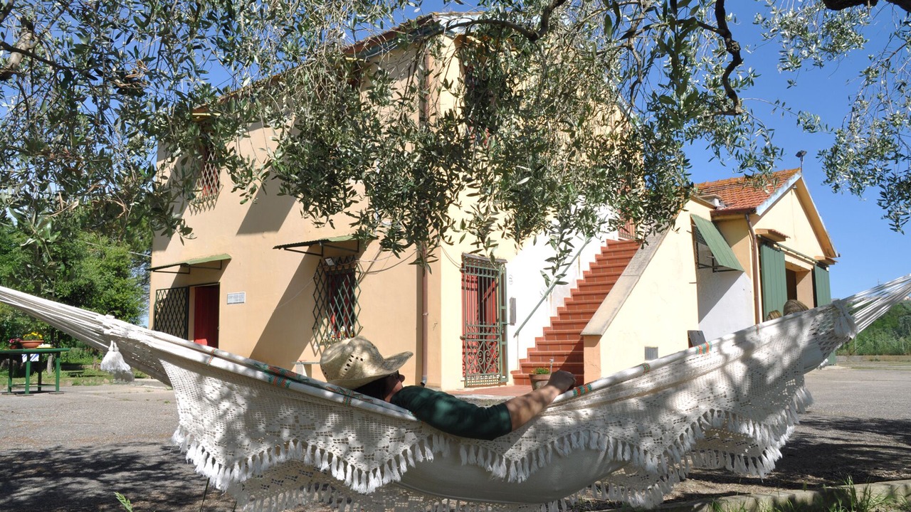 Photo of Outdoor in Collecorvino