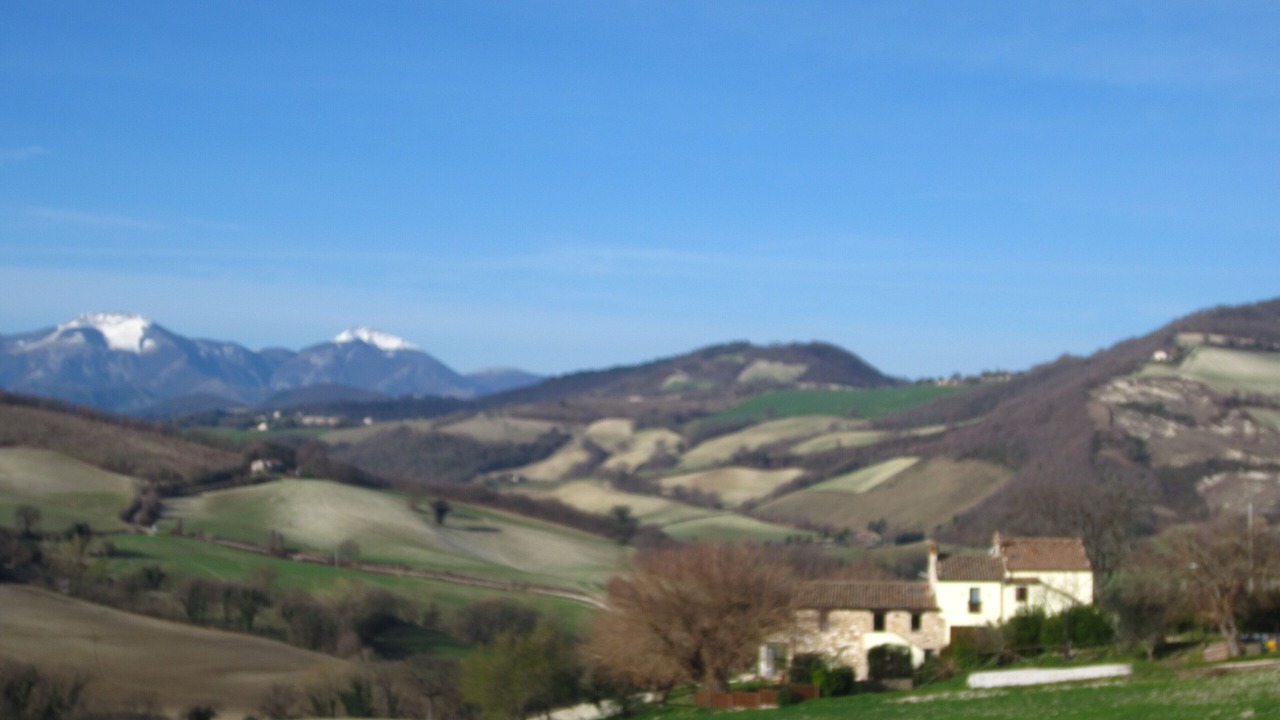 Photo of Others in Arcevia