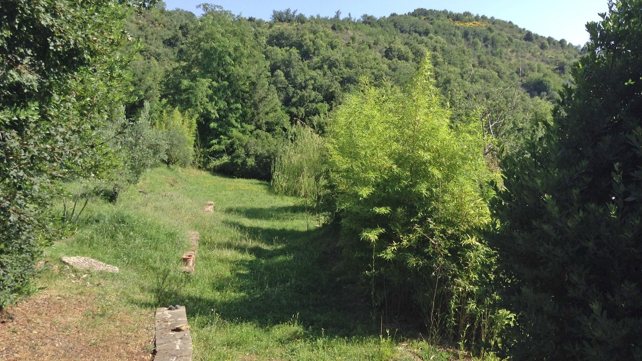 Photo of Others in Anghiari