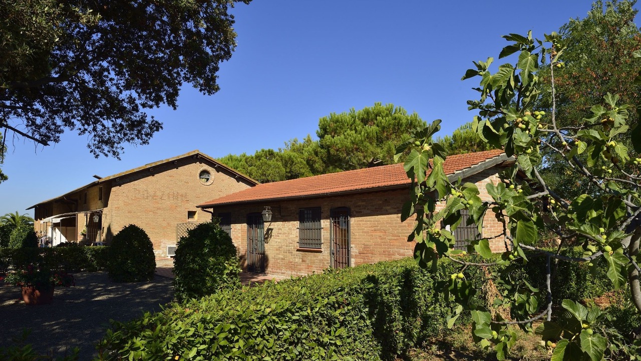 Photo of Outdoor in Grosseto