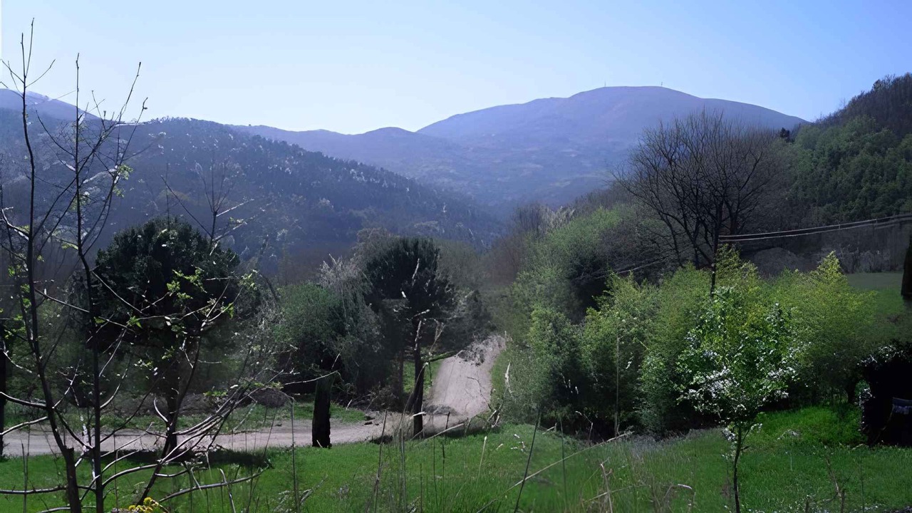 Photo of Others in Montieri