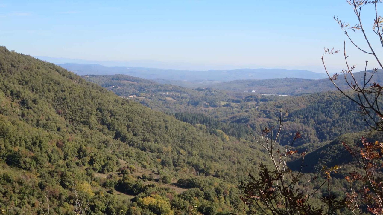 Photo of Others in Montieri