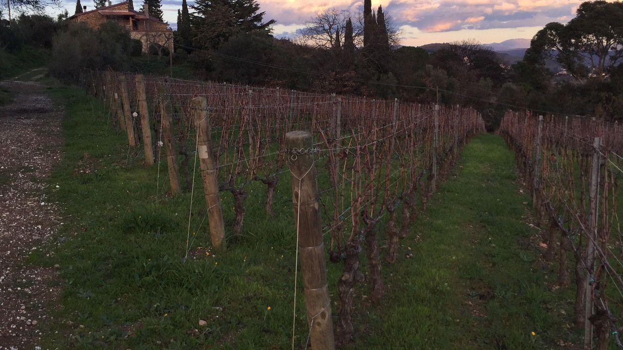 Photo of Outdoor in Suvereto