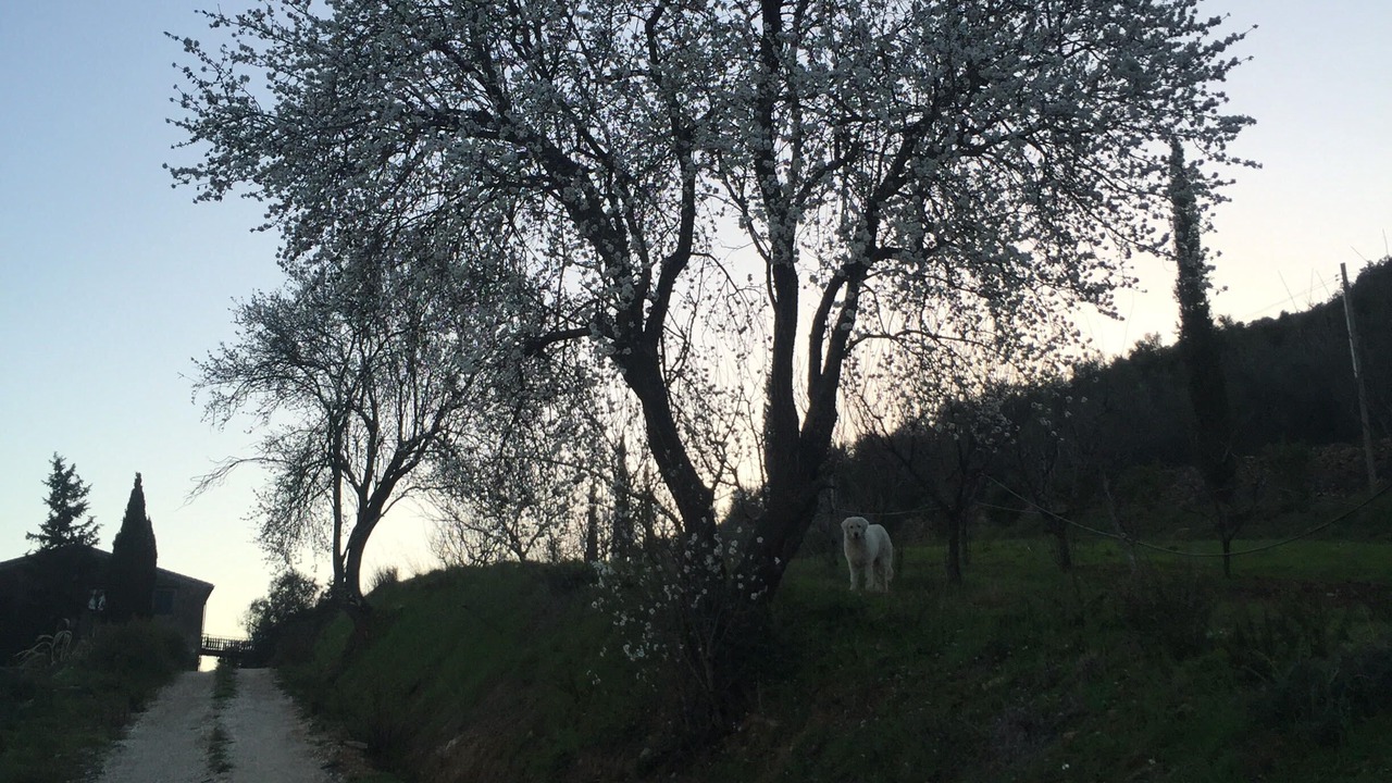 Photo of Outdoor in Suvereto