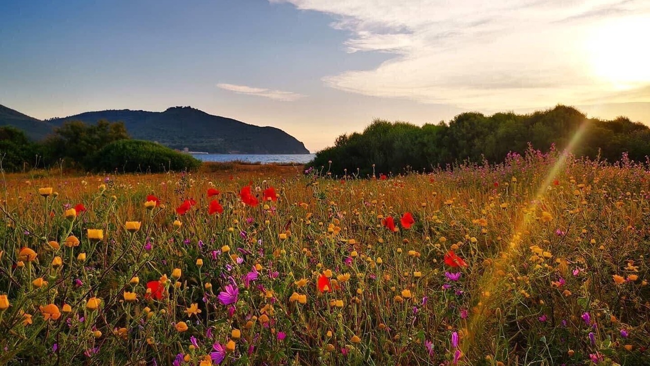Photo of Outdoor in Suvereto