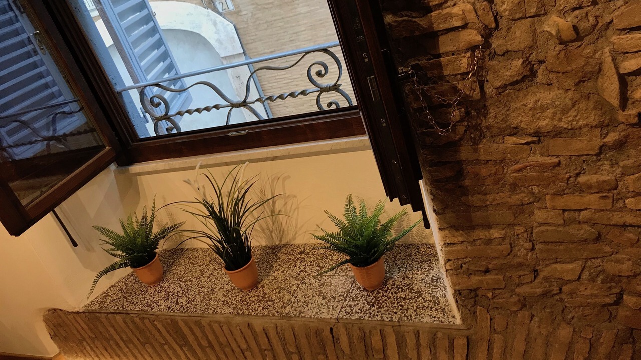 Photo of Others in Navona