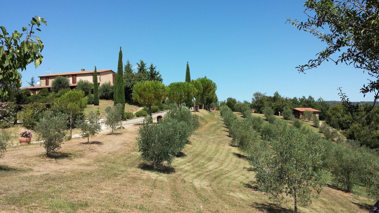 Photo of Outdoor in Massa Marittima