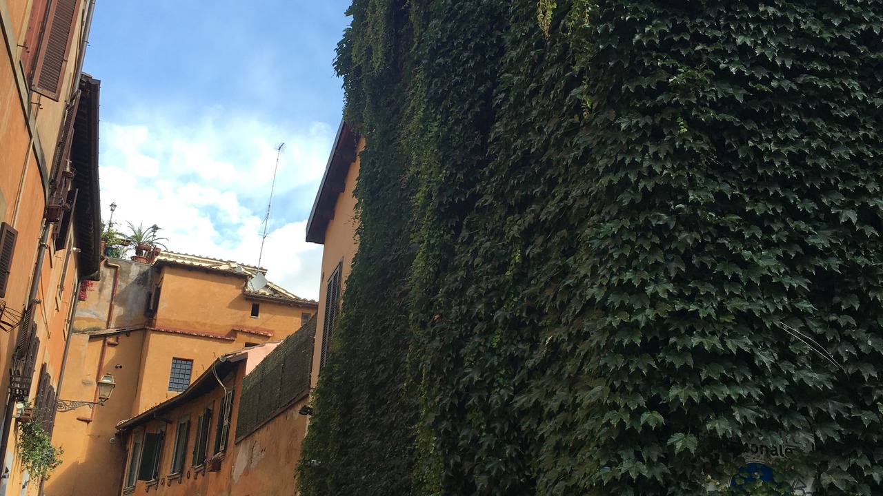 Photo of Outdoor in Trastevere