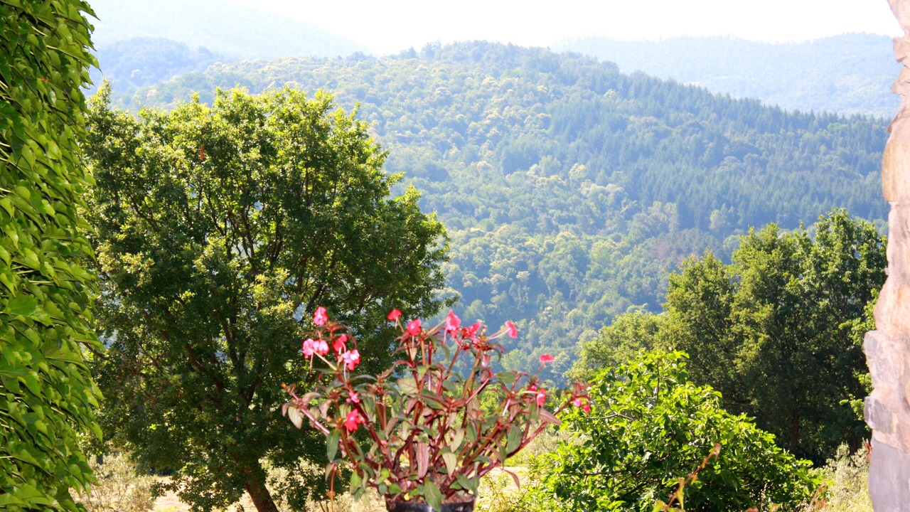 Photo of Outdoor in Montieri
