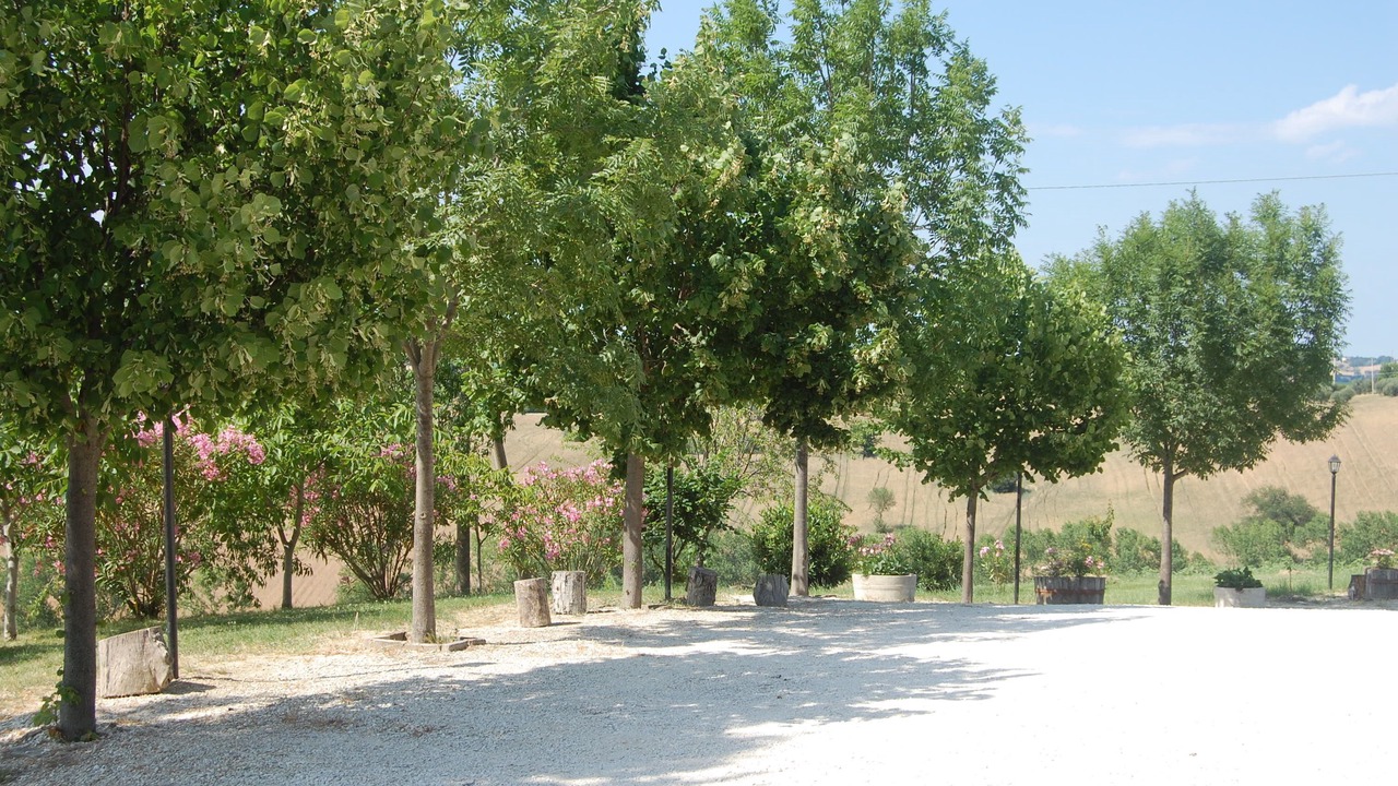 Photo of Others in Appignano