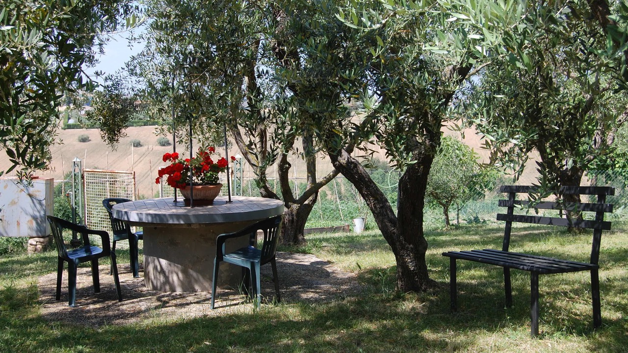 Photo of Outdoor in Appignano
