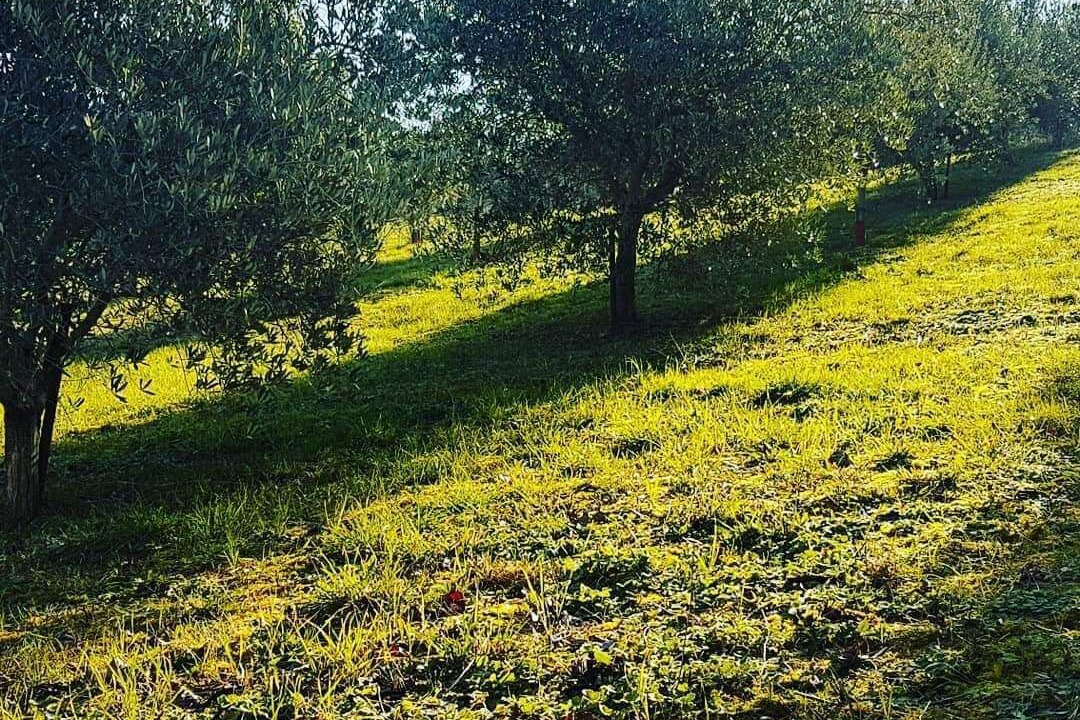 Photo of Outdoor in Rustico