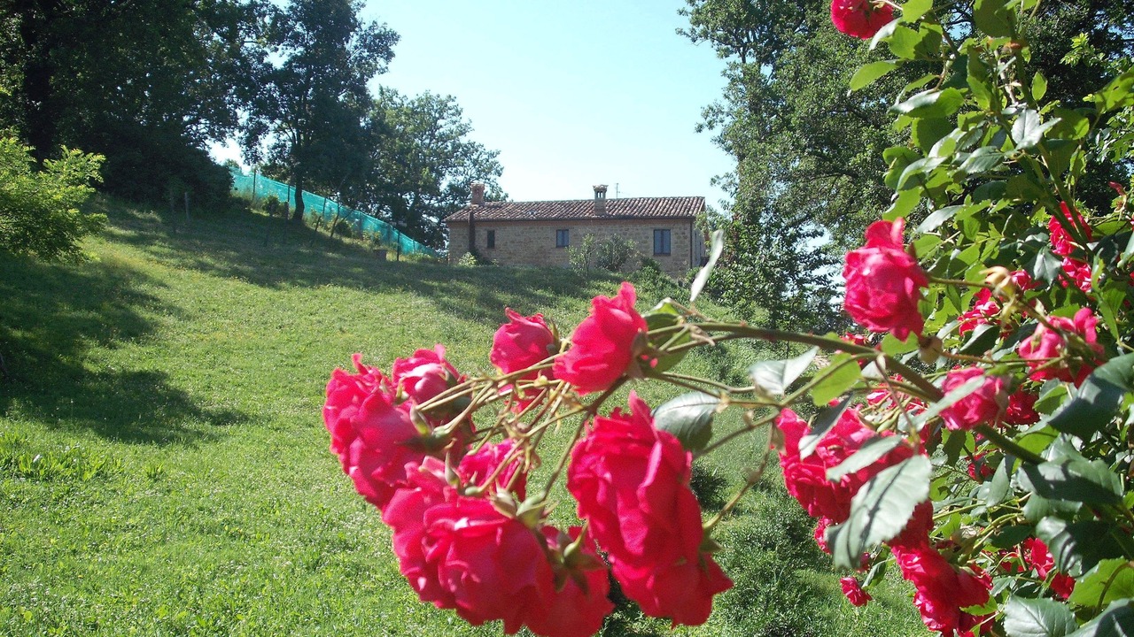 Photo of Outdoor in San Girolamo