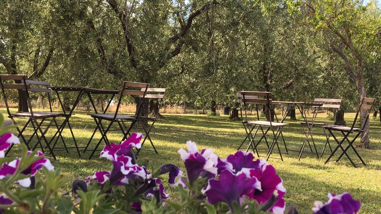 Photo of Outdoor in Vitorchiano