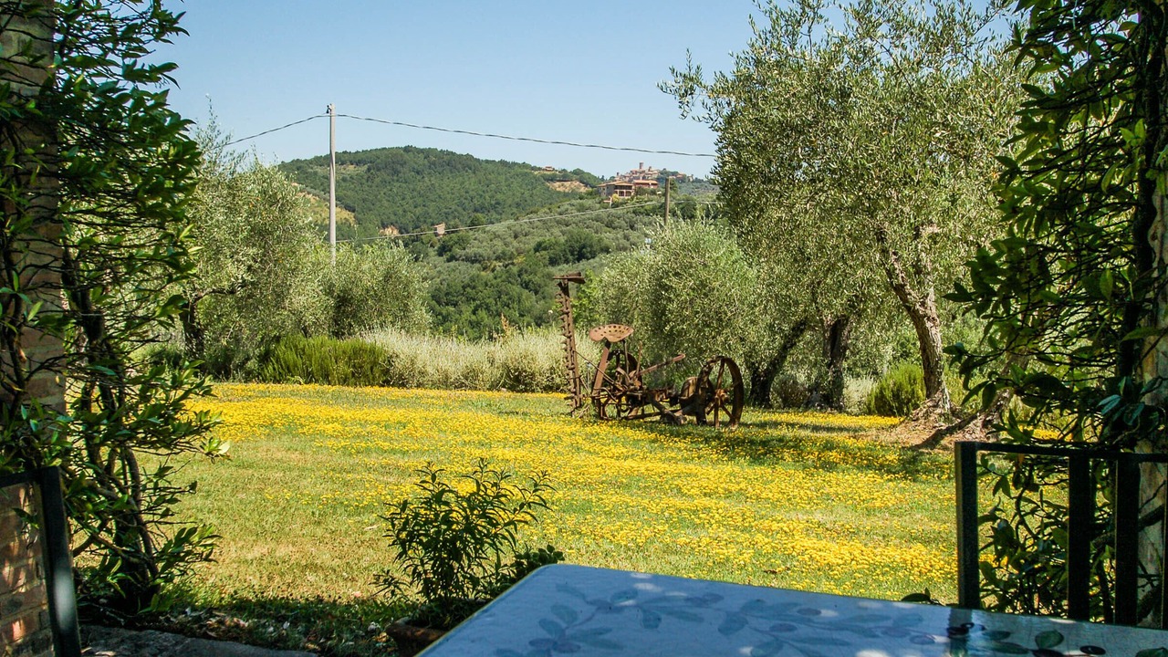 Photo of Outdoor in Collazzone