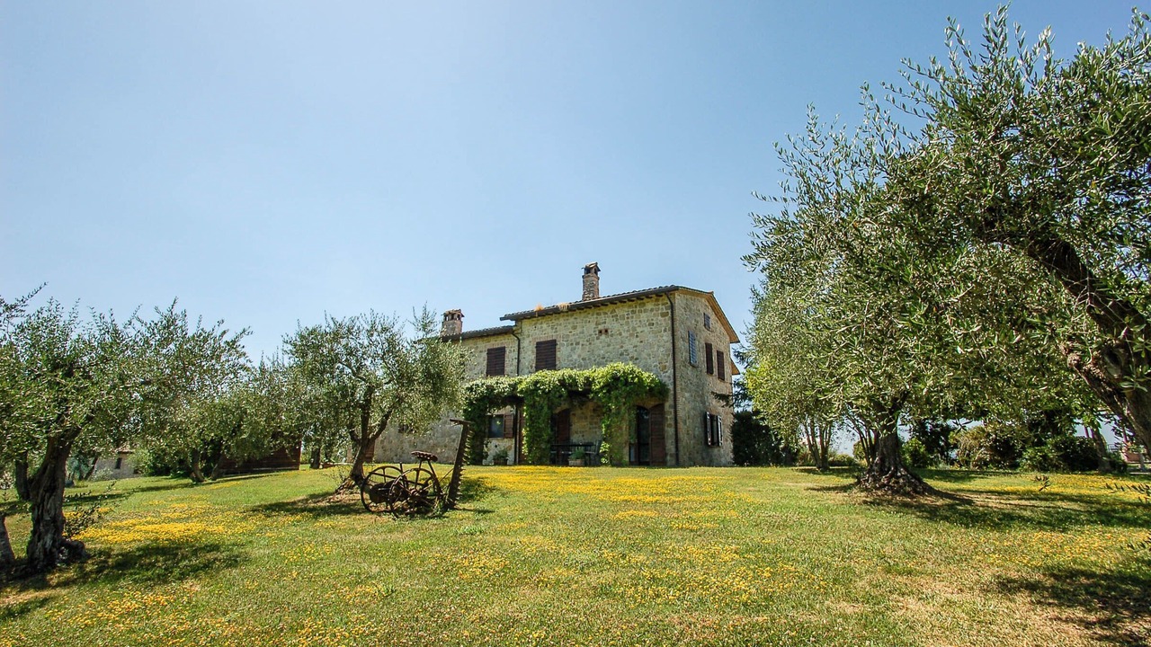 Photo of Outdoor in Collazzone