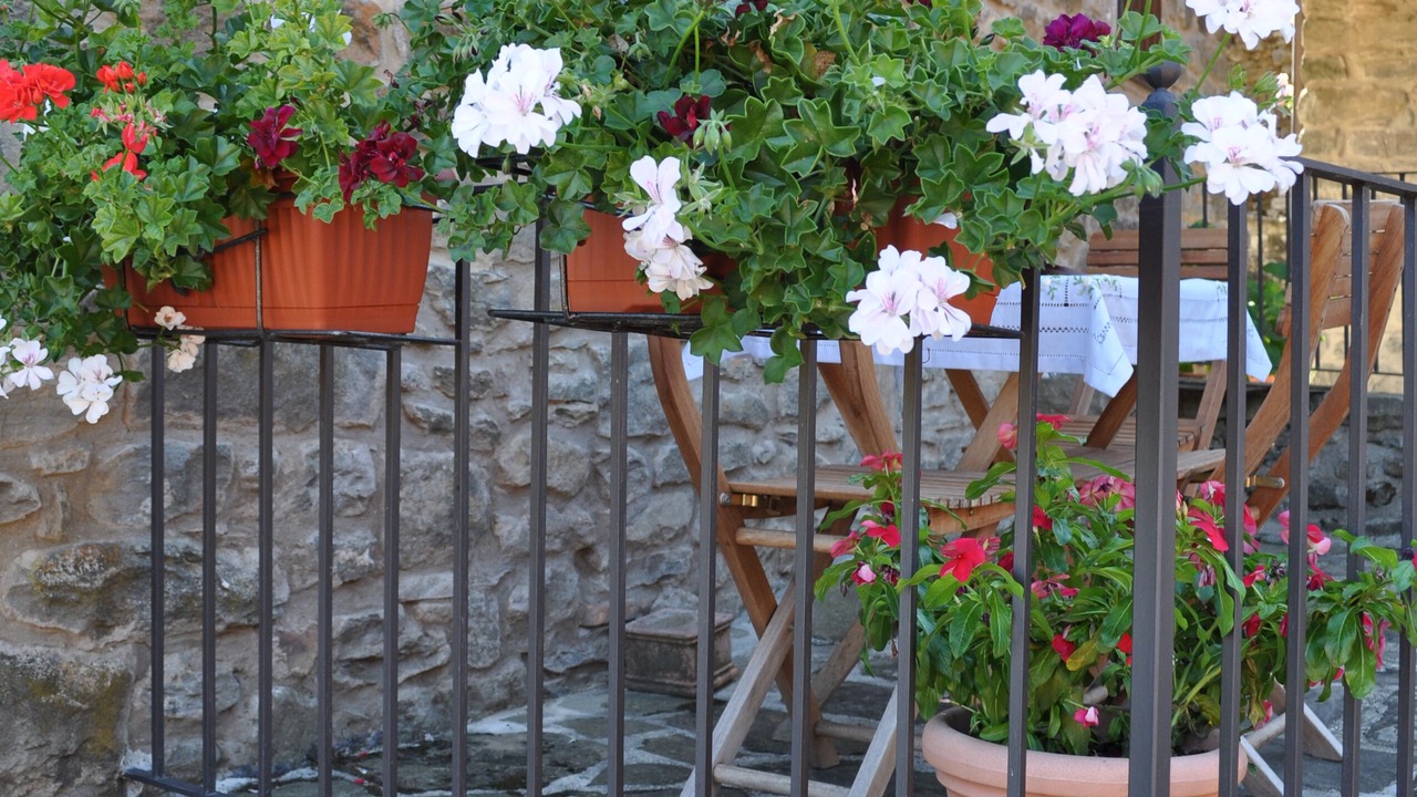 Photo of Outdoor in Raggiolo
