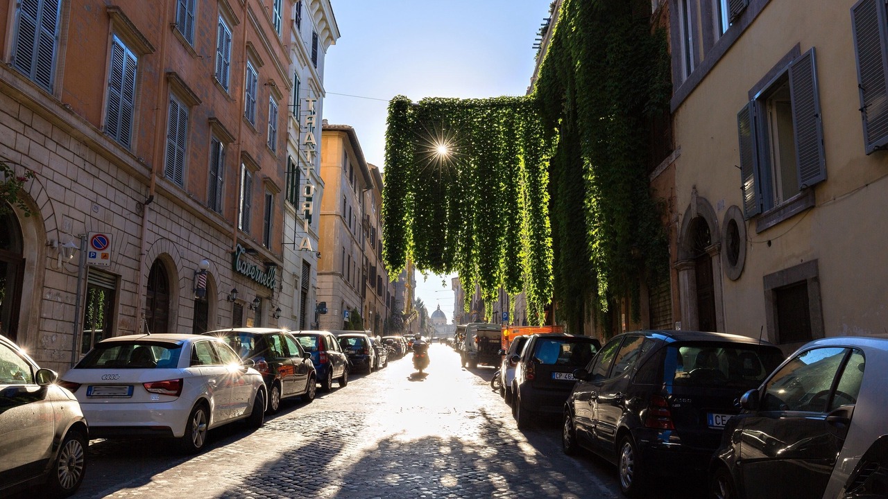 Photo of Others in Monti