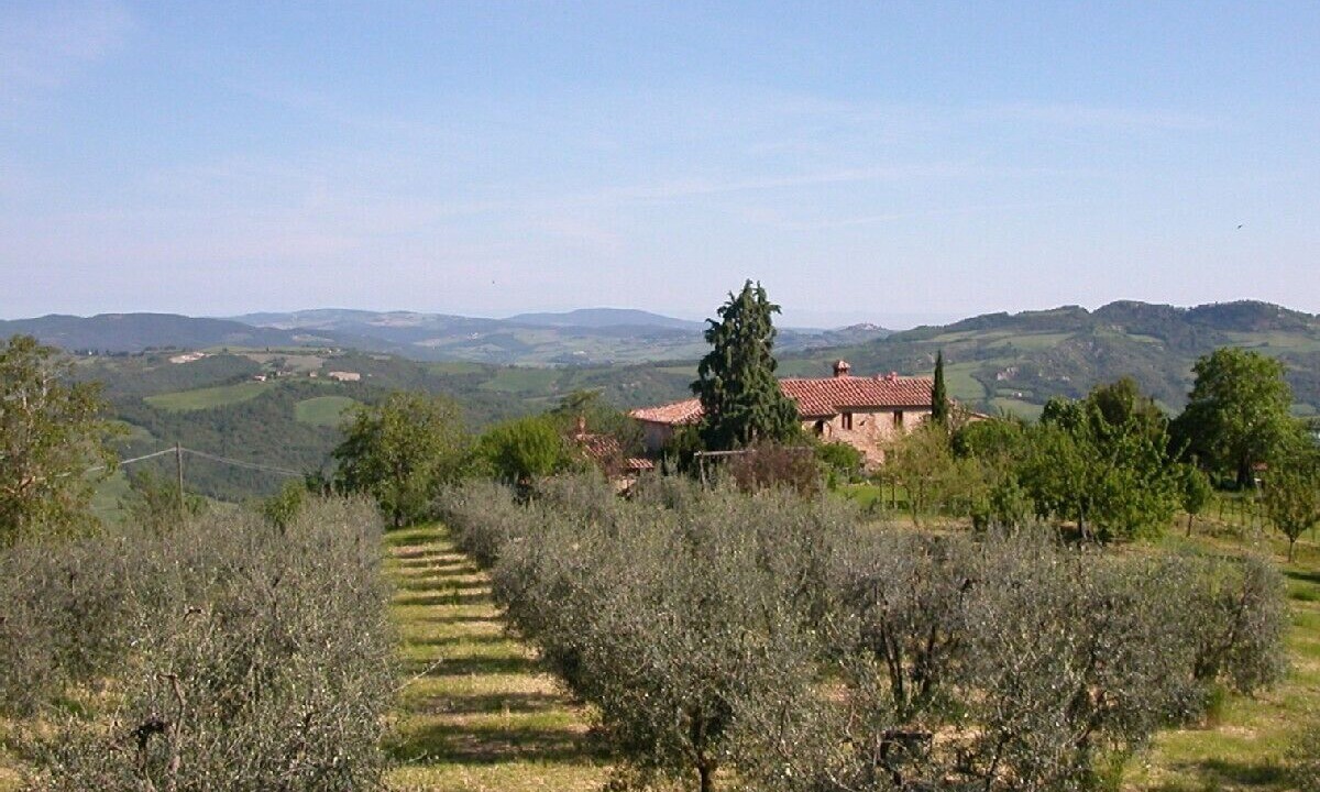 Photo of Outdoor in Radicondoli