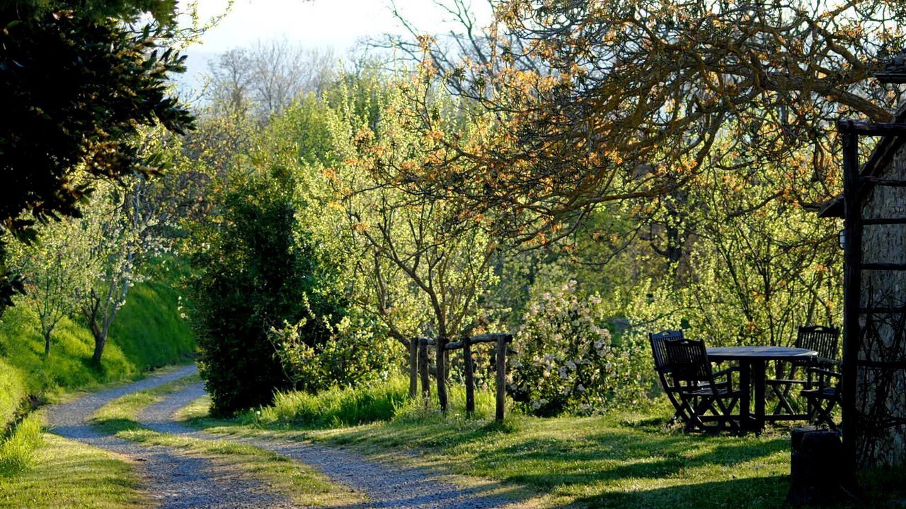 Photo of Outdoor in Radicondoli