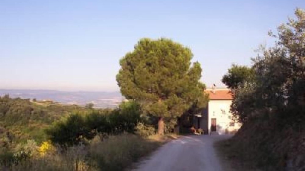 Photo of Others in Canalicchio