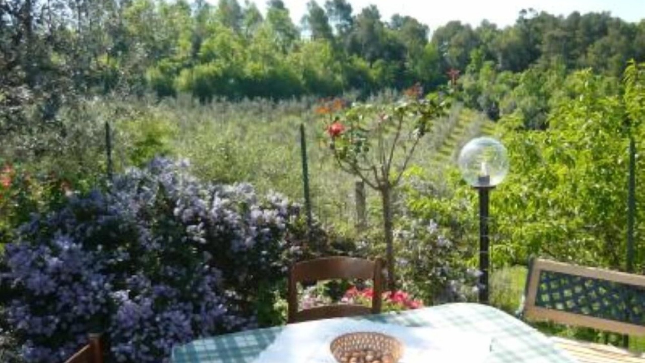 Photo of Outdoor in Canalicchio