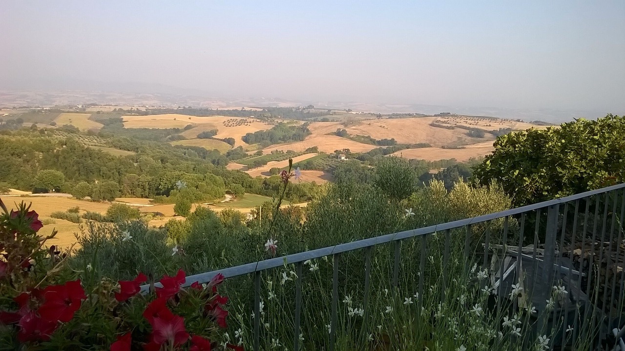 Photo of Others in Canalicchio