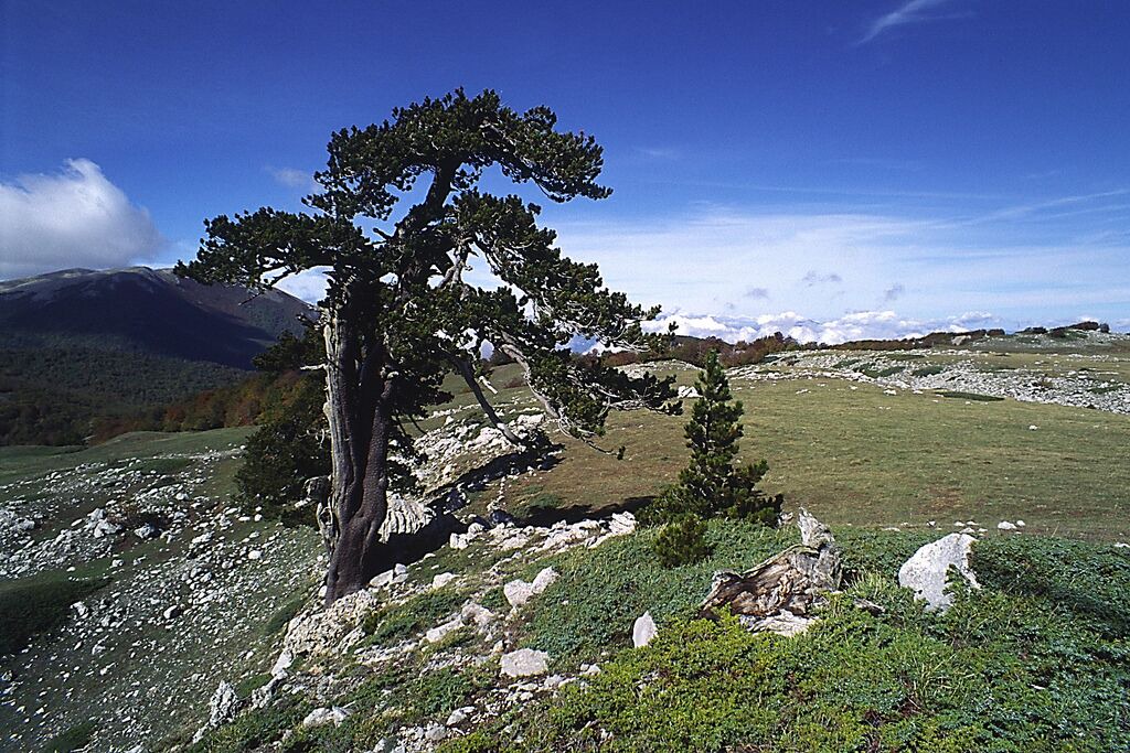 Photo of Outdoor in Fabrizio
