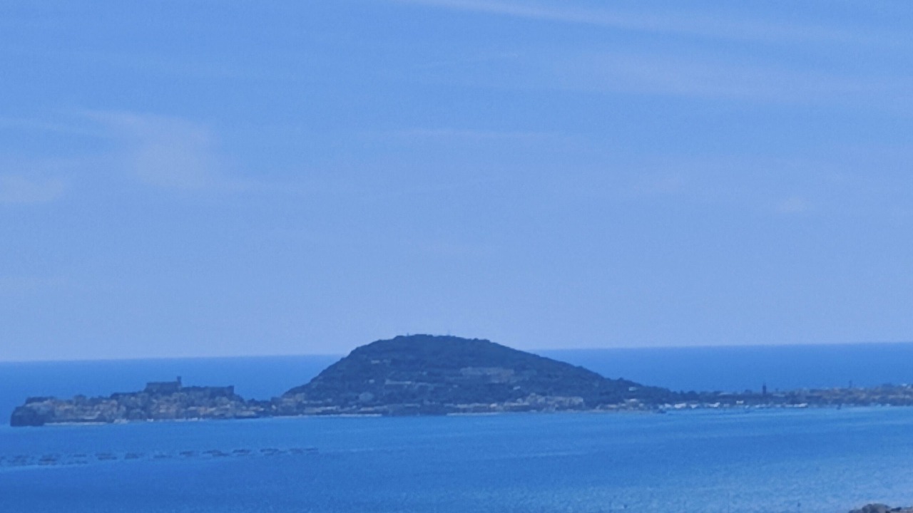 Photo of Others in Trivio