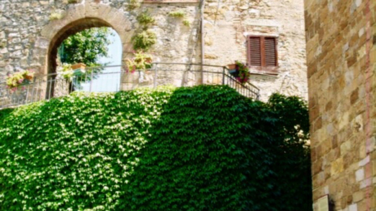 Photo of Outdoor in Tatti