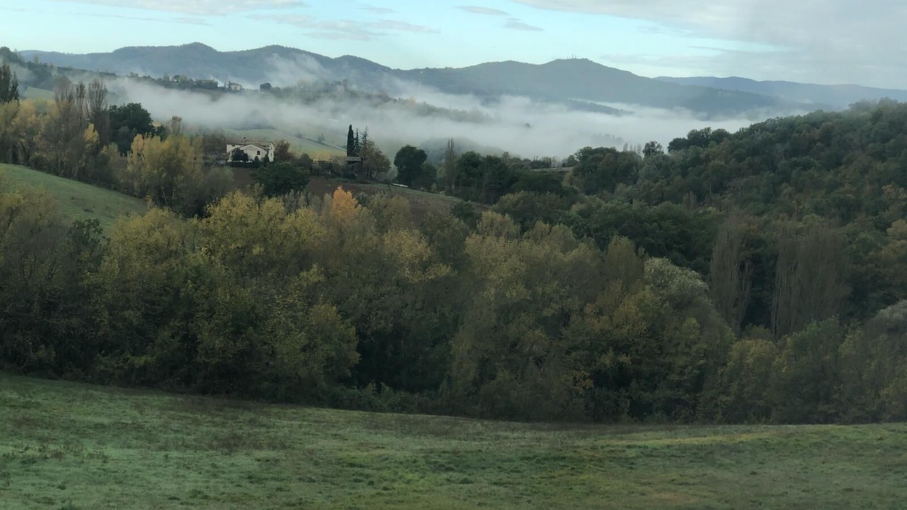 Photo of Others in Montone