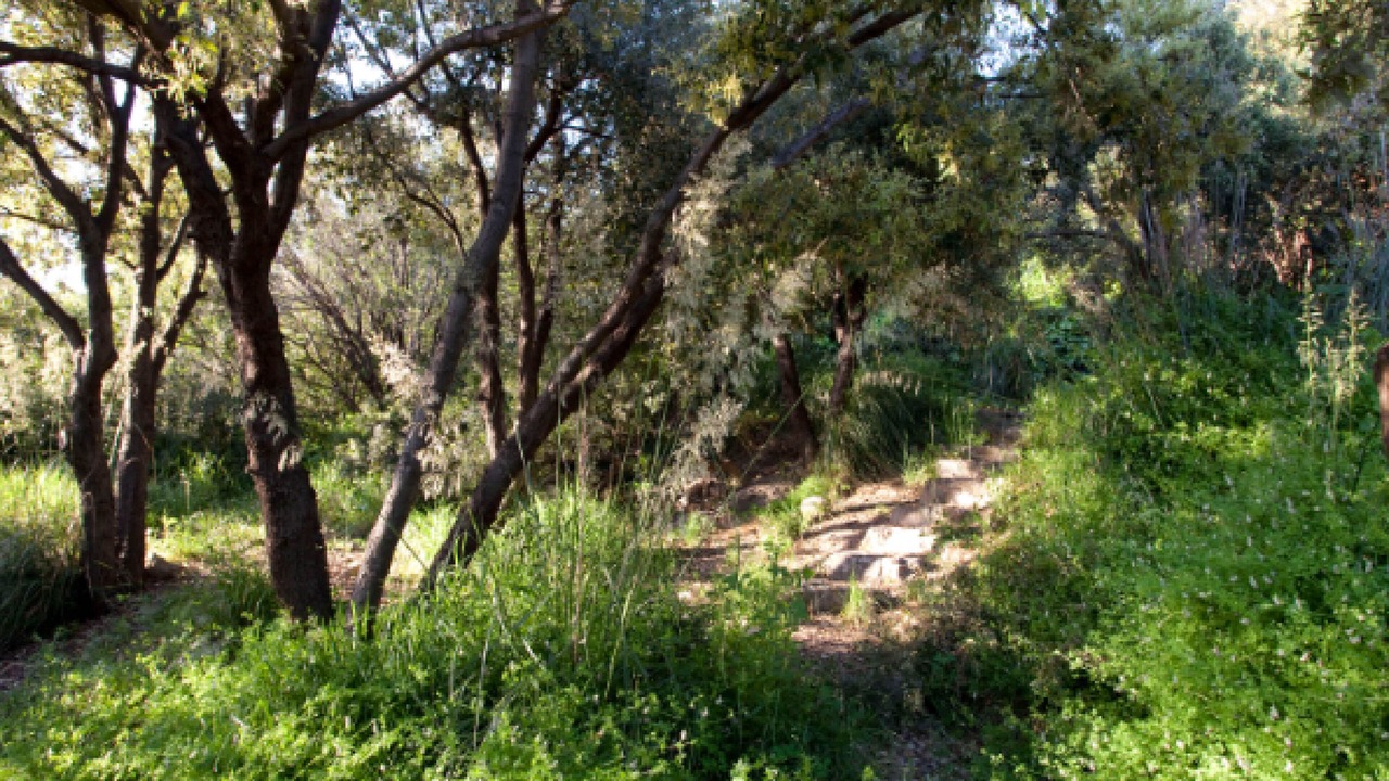 Photo of Outdoor in Monte Argentario