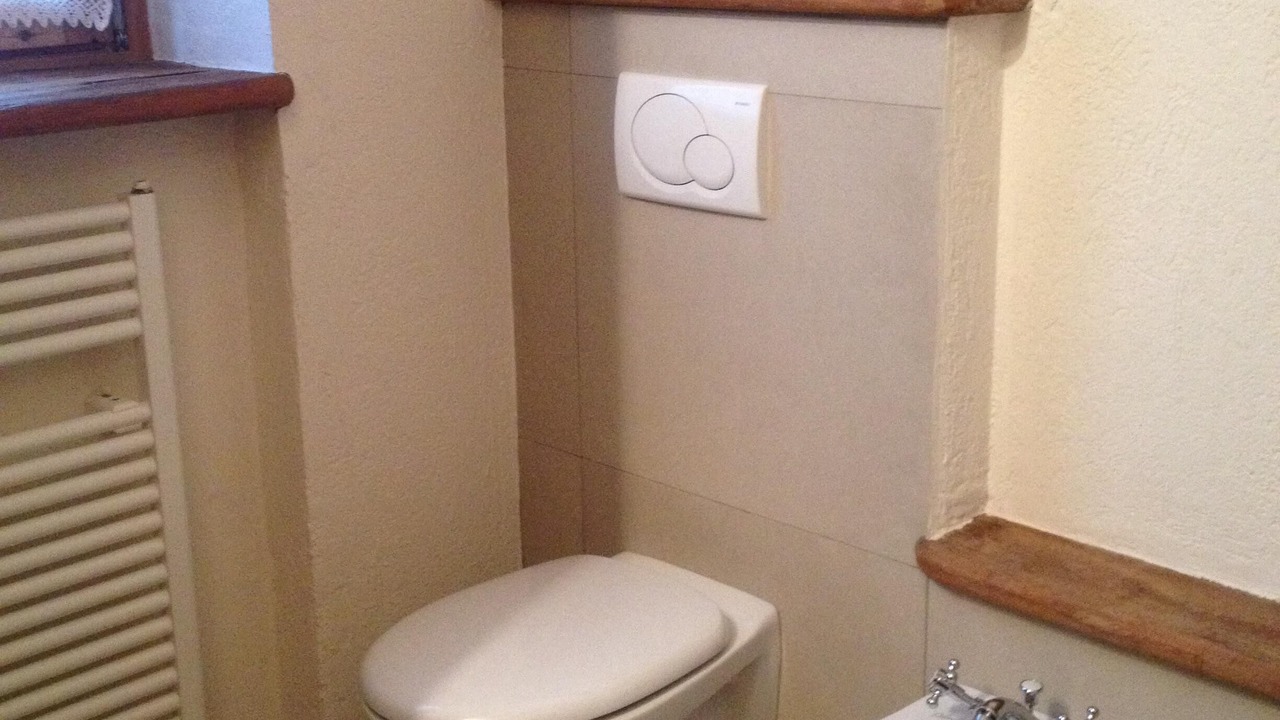 Photo of Bathroom in Cogne