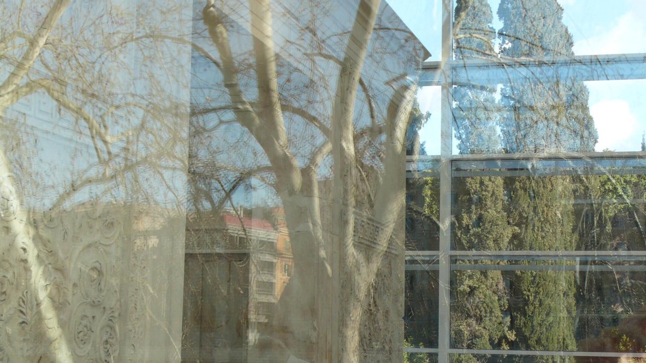 Photo of Others in Rome City Centre