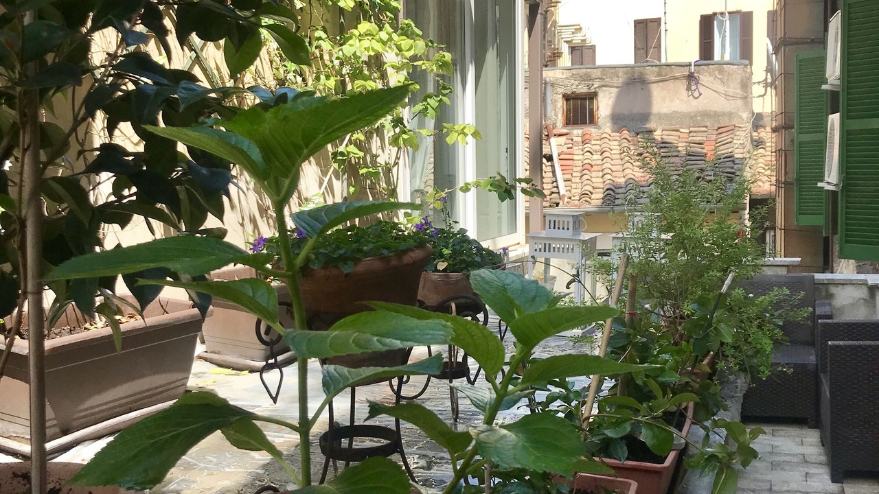 Photo of Outdoor in Rome City Centre