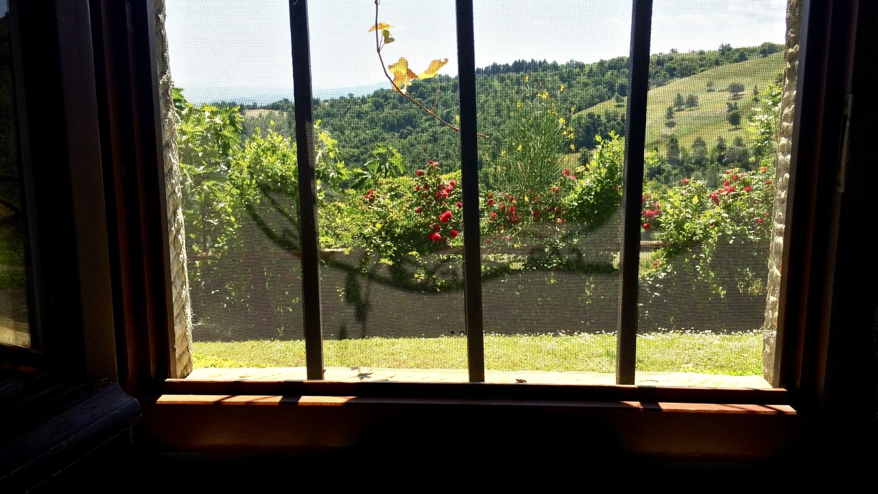Photo of Others in Anghiari