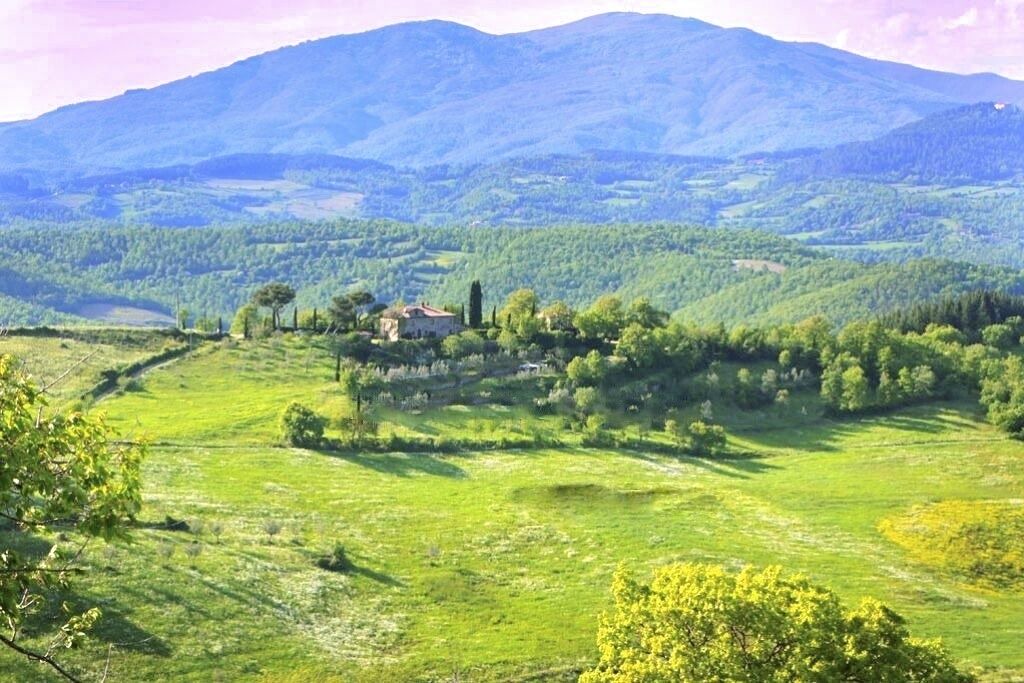 Photo of Others in Anghiari