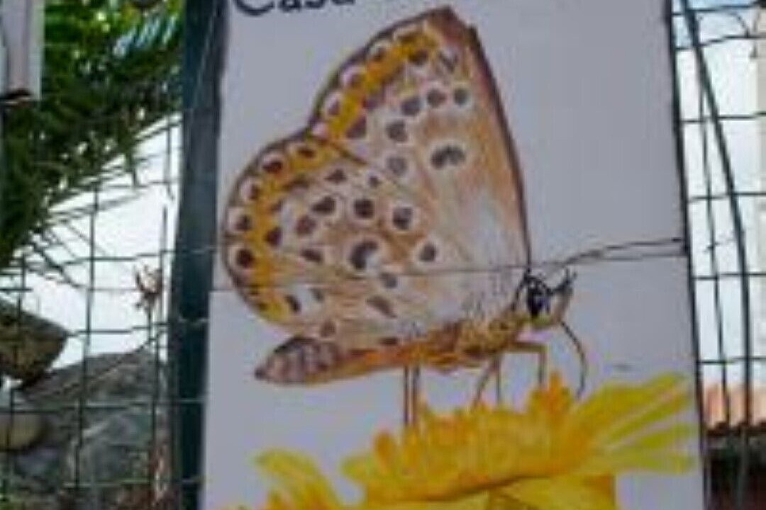 Photo of Outdoor in Villaggio Taunus