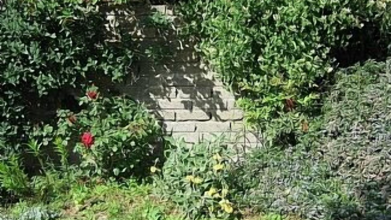 Photo of Outdoor in Viterbo